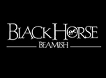 Black Horse Beamish