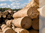 Northumberland Logs
