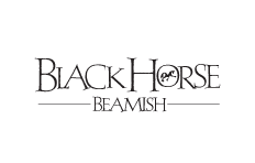 Black Horse