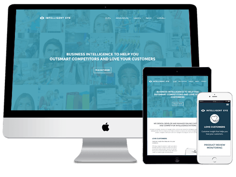 Intelligent Eye Website